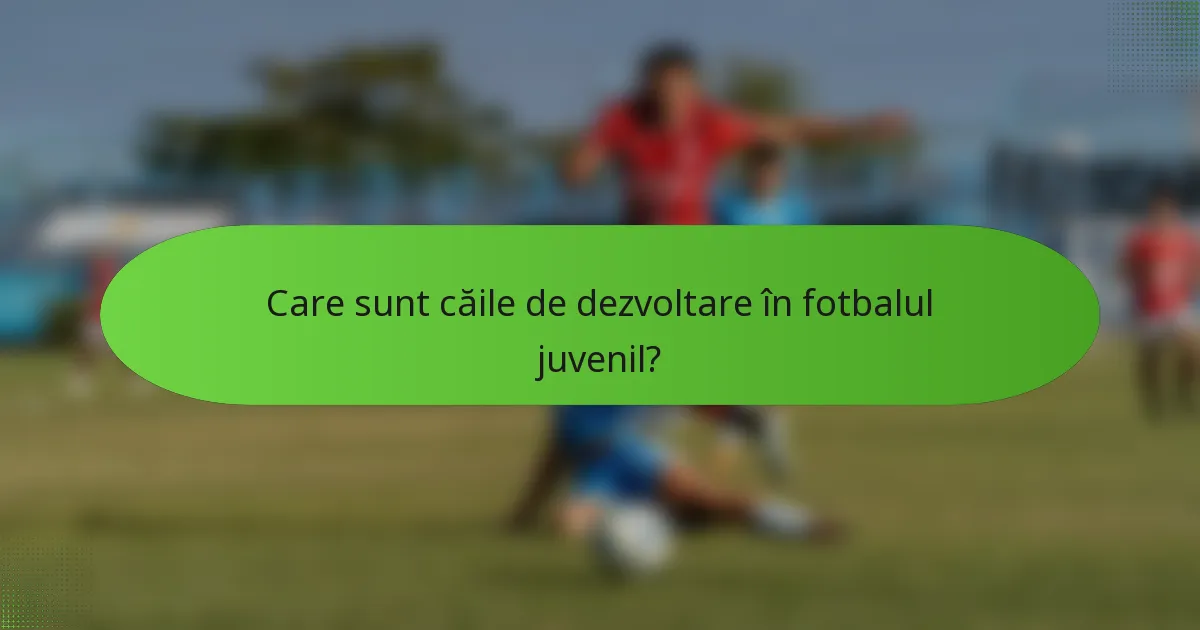 Care sunt căile de dezvoltare în fotbalul juvenil?