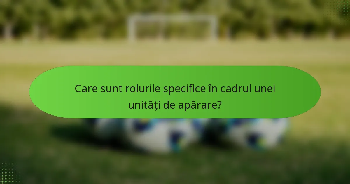 Care sunt rolurile specifice în cadrul unei unități de apărare?